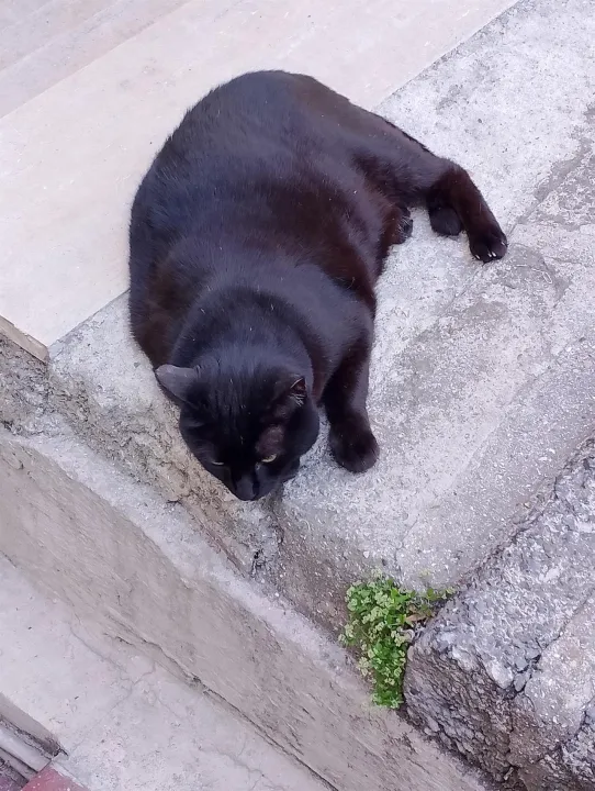 Anın Fotoğrafı