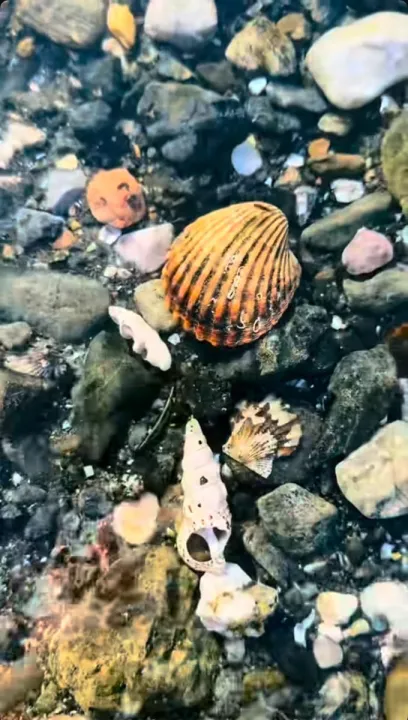 Anın Fotoğrafı