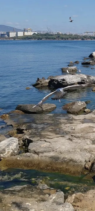 Anın Fotoğrafı