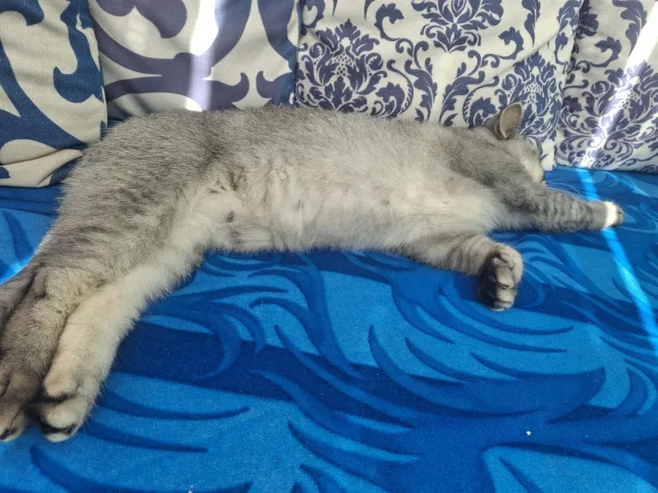 Anın Fotoğrafı