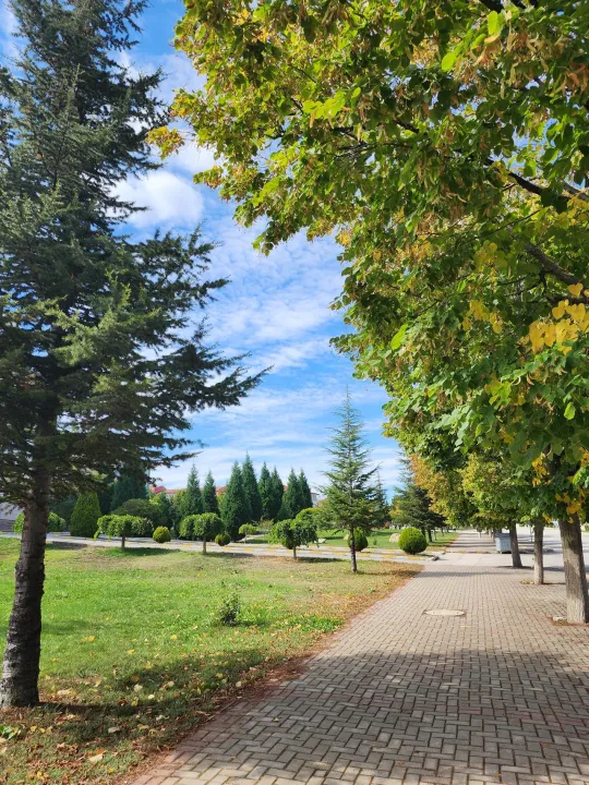 Anın Fotoğrafı