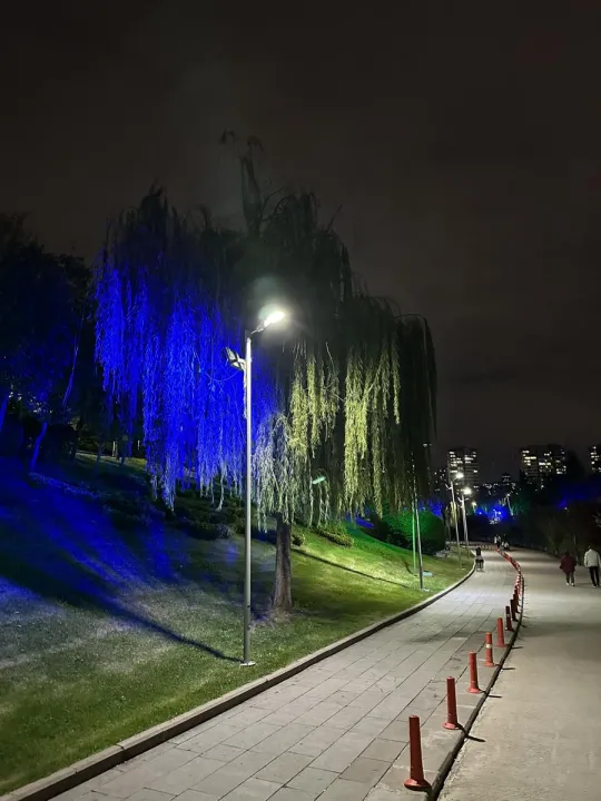 Anın Fotoğrafı