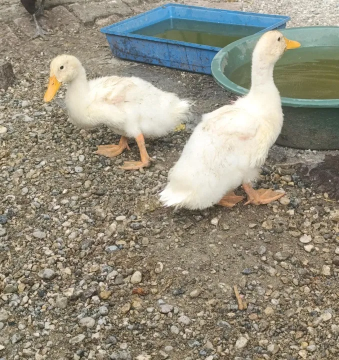 Anın Fotoğrafı