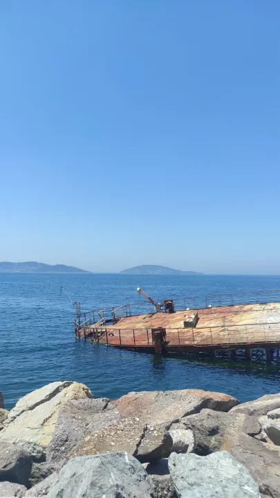 Anın Fotoğrafı