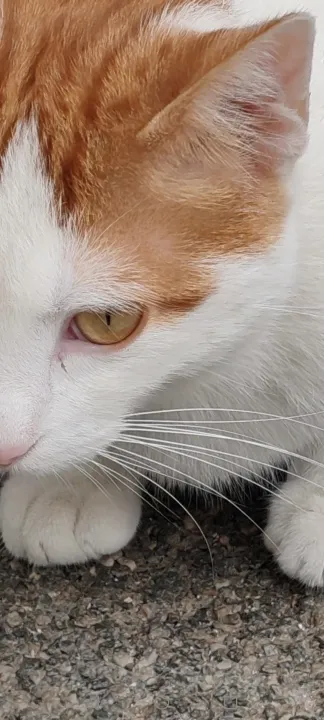 Anın Fotoğrafı