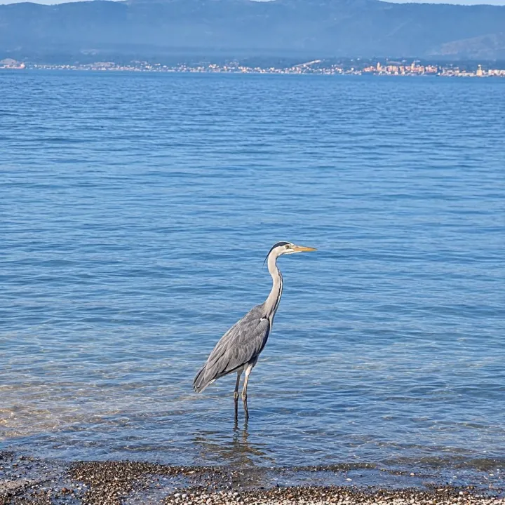 Anın Fotoğrafı