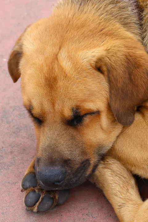 Anın Fotoğrafı