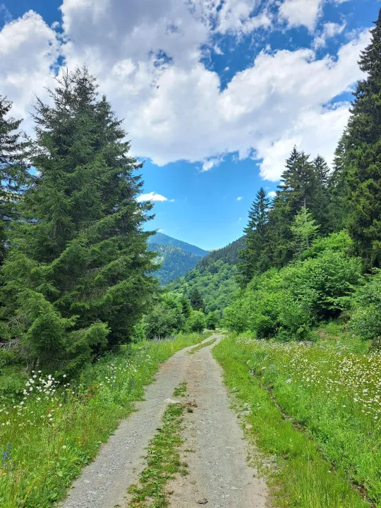 Anın Fotoğrafı