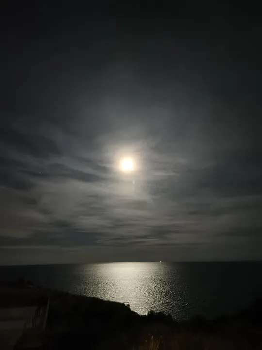 Anın Fotoğrafı