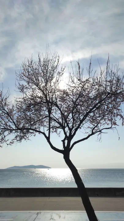 Anın Fotoğrafı