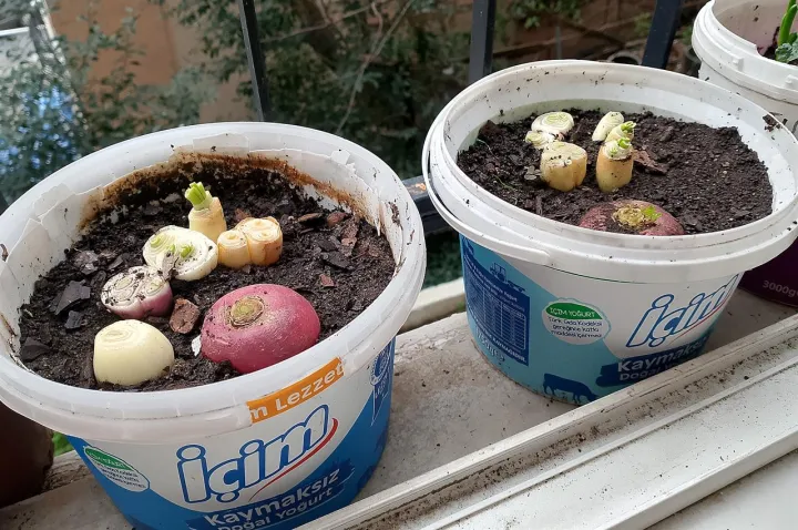 Anın Fotoğrafı