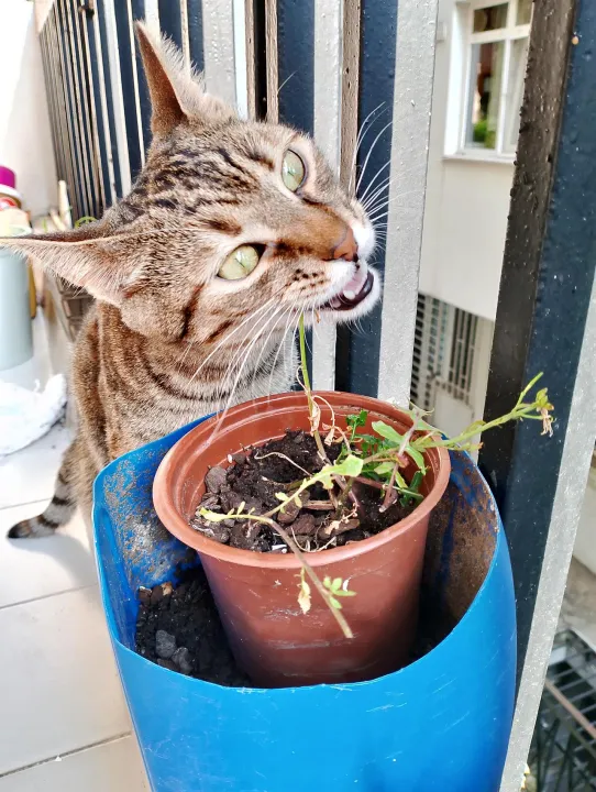 Anın Fotoğrafı
