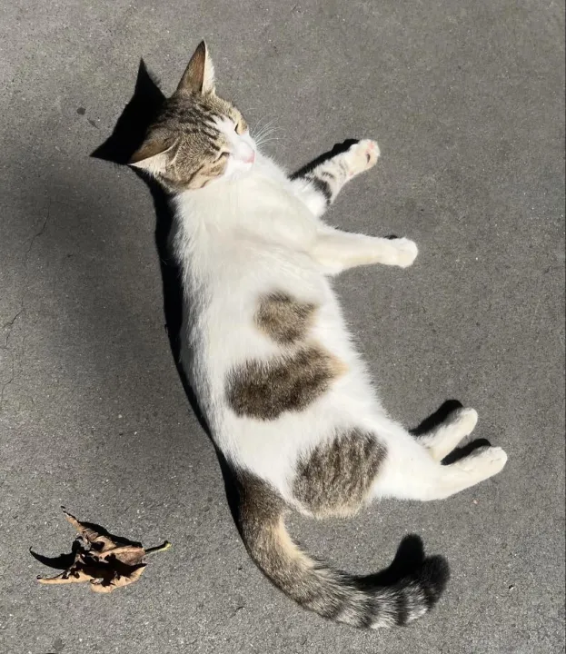 Anın Fotoğrafı