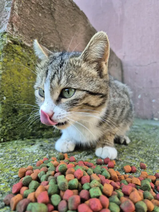 Anın Fotoğrafı