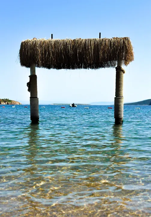 Anın Fotoğrafı