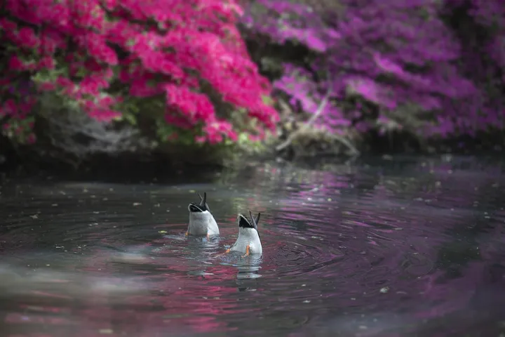 Anın Fotoğrafı