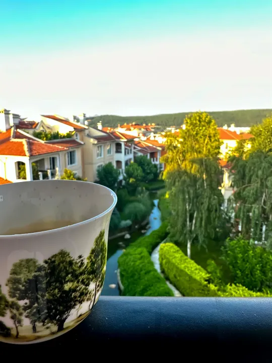 Anın Fotoğrafı