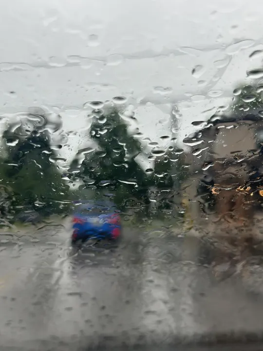 Anın Fotoğrafı