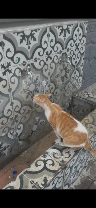 Anın Fotoğrafı