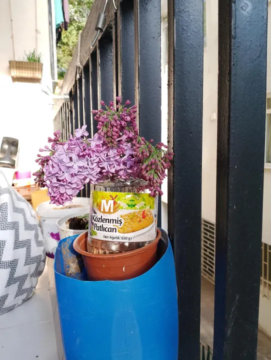 Anın Fotoğrafı