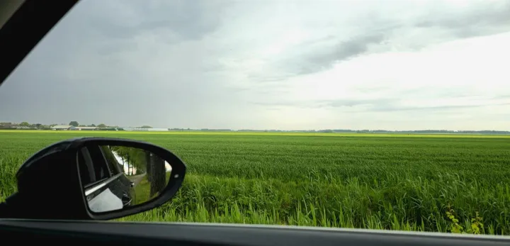 Anın Fotoğrafı