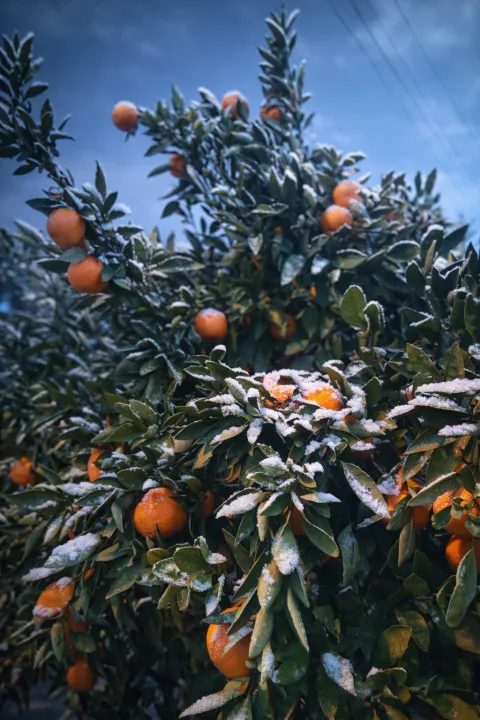 Anın Fotoğrafı