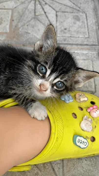 Anın Fotoğrafı