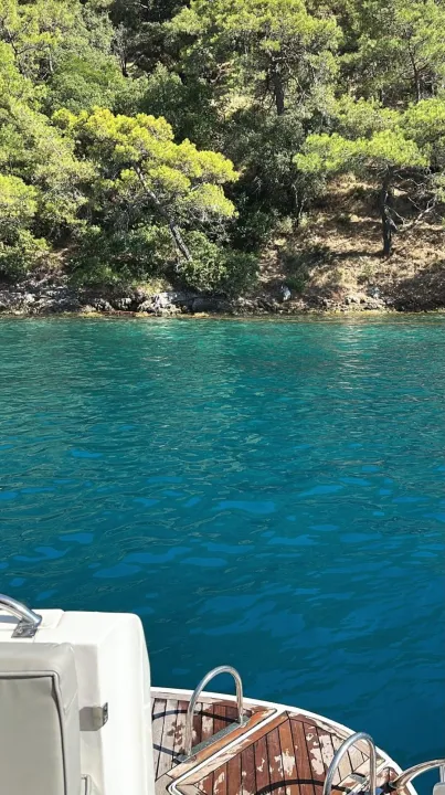 Anın Fotoğrafı
