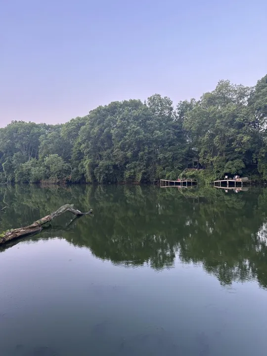Anın Fotoğrafı