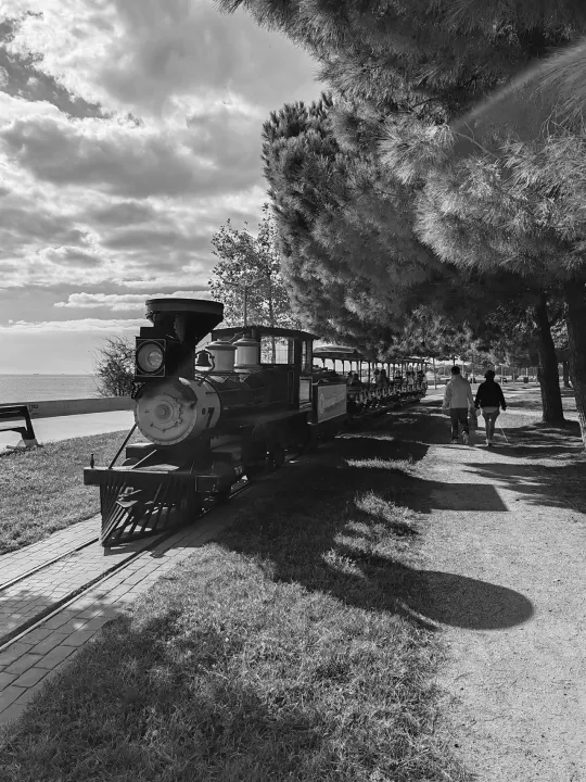 Anın Fotoğrafı