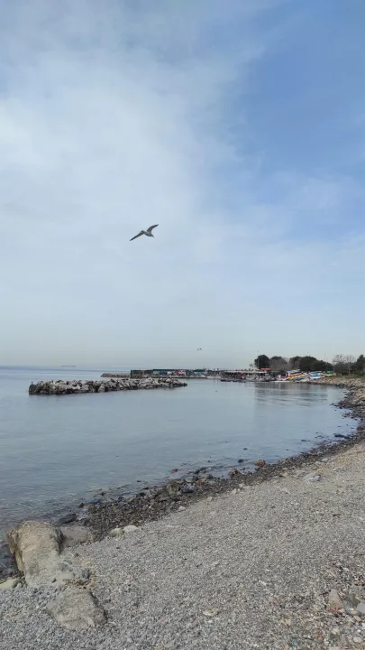 Anın Fotoğrafı