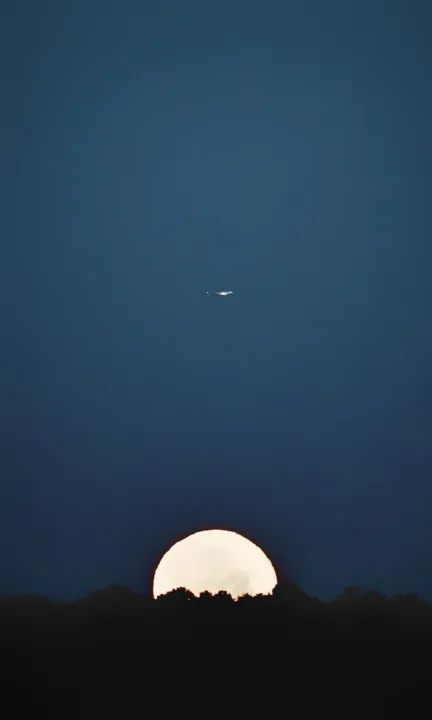 Anın Fotoğrafı