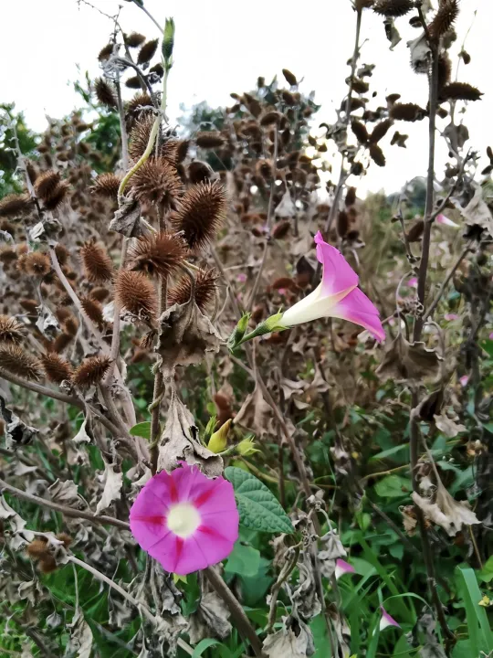 Anın Fotoğrafı