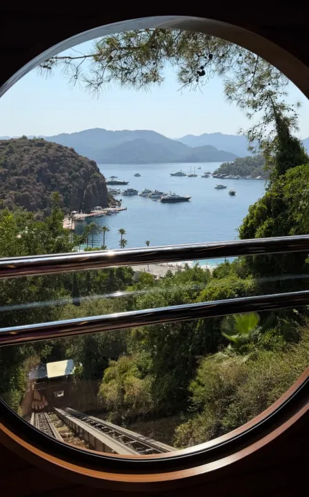 Anın Fotoğrafı