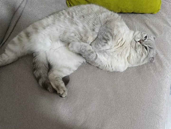 Anın Fotoğrafı