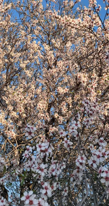 Anın Fotoğrafı