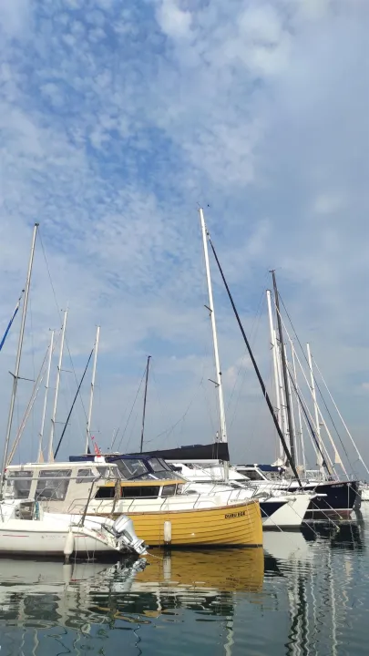 Anın Fotoğrafı