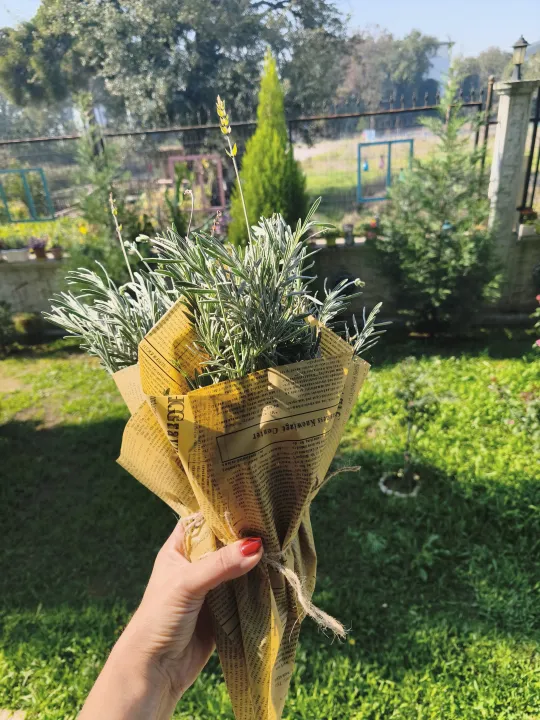 Anın Fotoğrafı