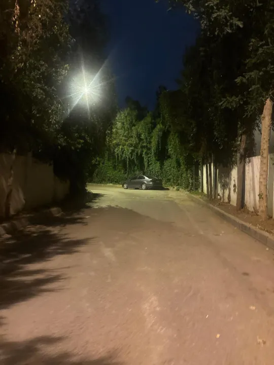 Anın Fotoğrafı