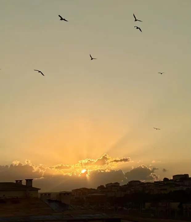 Anın Fotoğrafı