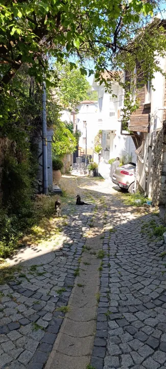 Anın Fotoğrafı