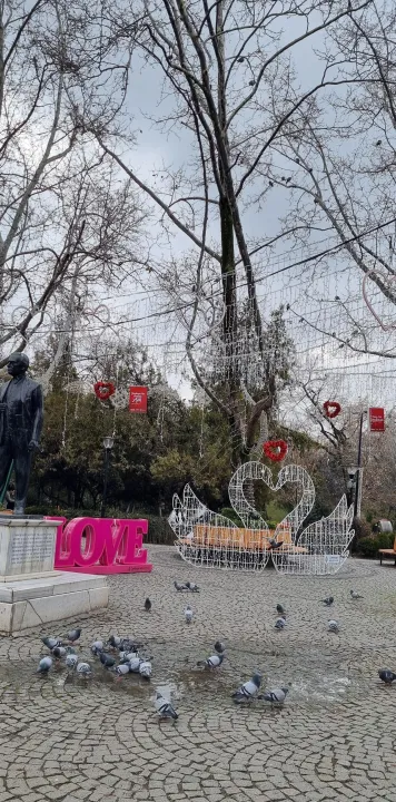 Anın Fotoğrafı