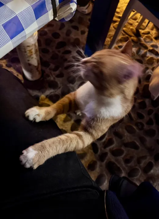 Anın Fotoğrafı