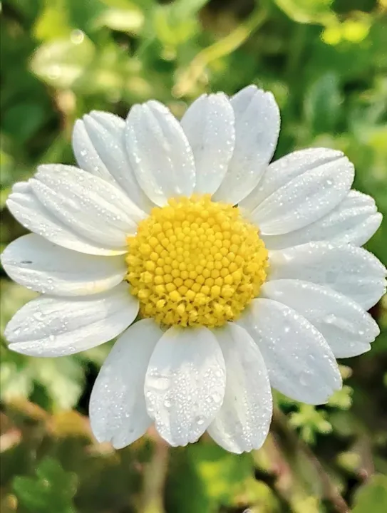 Anın Fotoğrafı