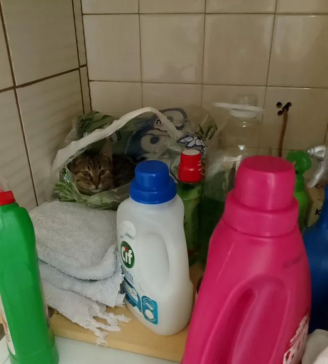 Anın Fotoğrafı