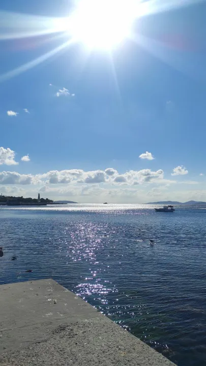 Anın Fotoğrafı