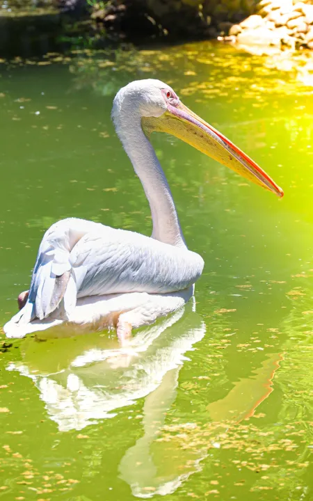 Anın Fotoğrafı