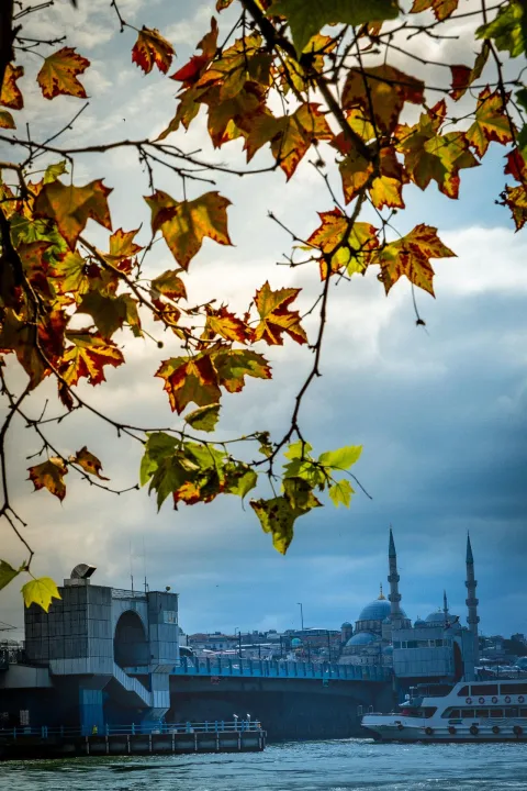 Anın Fotoğrafı