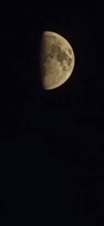 Anın Fotoğrafı