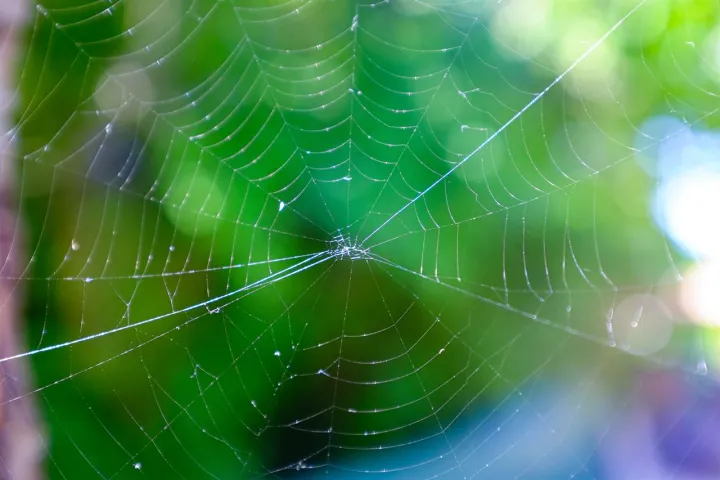 Anın Fotoğrafı